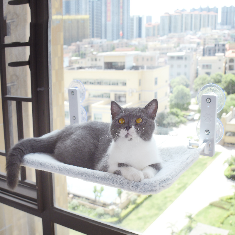 cat-suction-cup-window-glass-hammock-pet-cat-pets-products