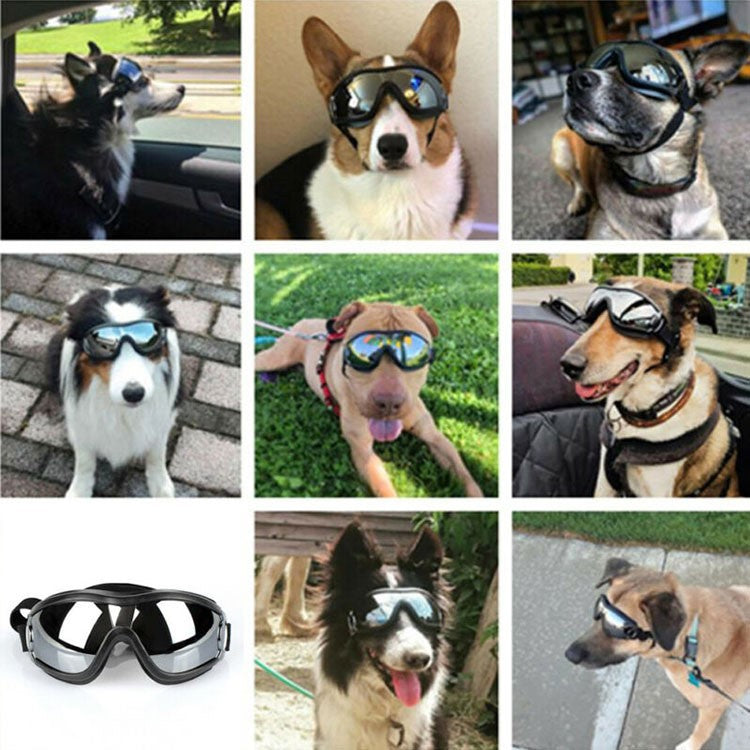 Pet Dog Glasses Concave Shape Waterproof UV Protection