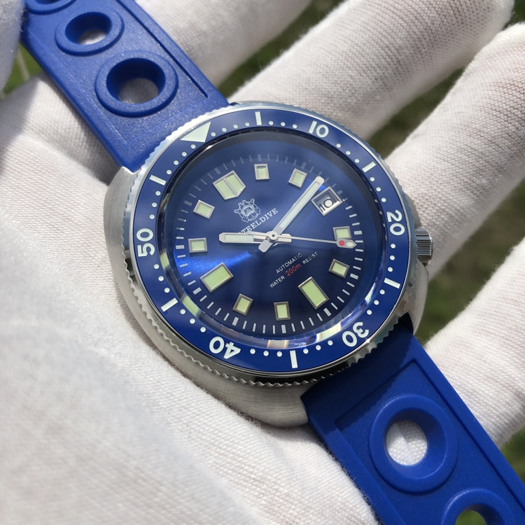 Diving Watch: TEELDIVE 316L stainless steel automatic mechanical
