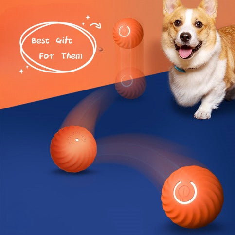 Rubber Dog Chew Ball Toy