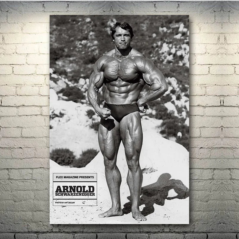 Arnold Schwarzenegger Bodybuilding Motivational Quote Silk Poster Print Inches Gym Room Fitness Sports Picture