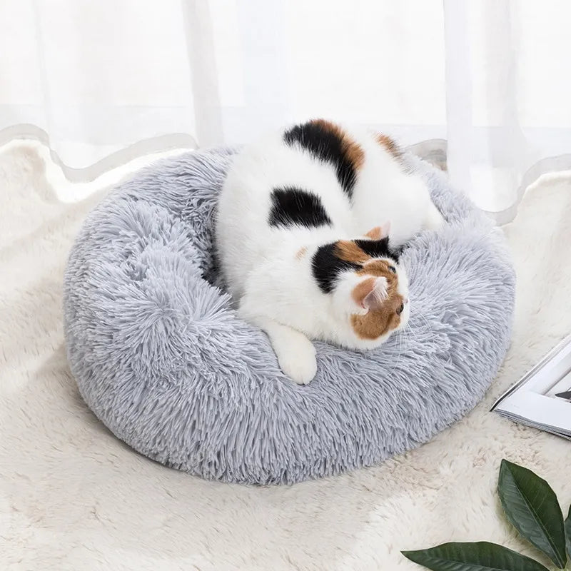 Explore our Cat Nest, a soft shaggy mat ideal for indoor use. This dog and cat bed offers removable, machine-washable features and comes with a cozy pillow for small pets.