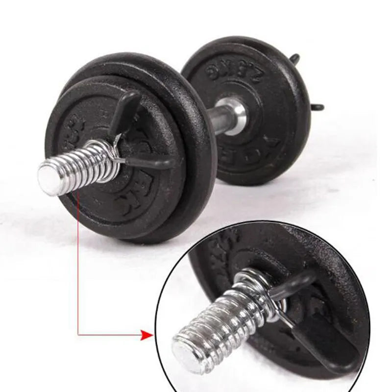 2.4/2.5/2.8/3.0CM Barbell Bar Carabiner Snaps Spring Clips Stainless Steel Circlips Gym Weight Dumbbell Lock Accessories