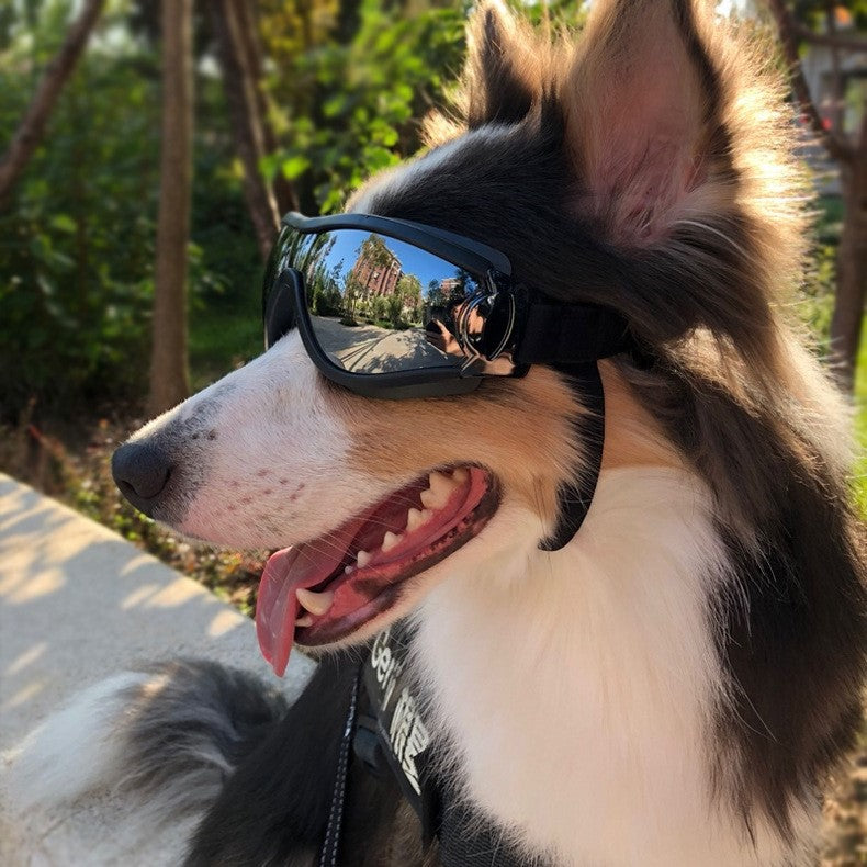 Pet Dog Glasses Concave Shape Waterproof UV Protection