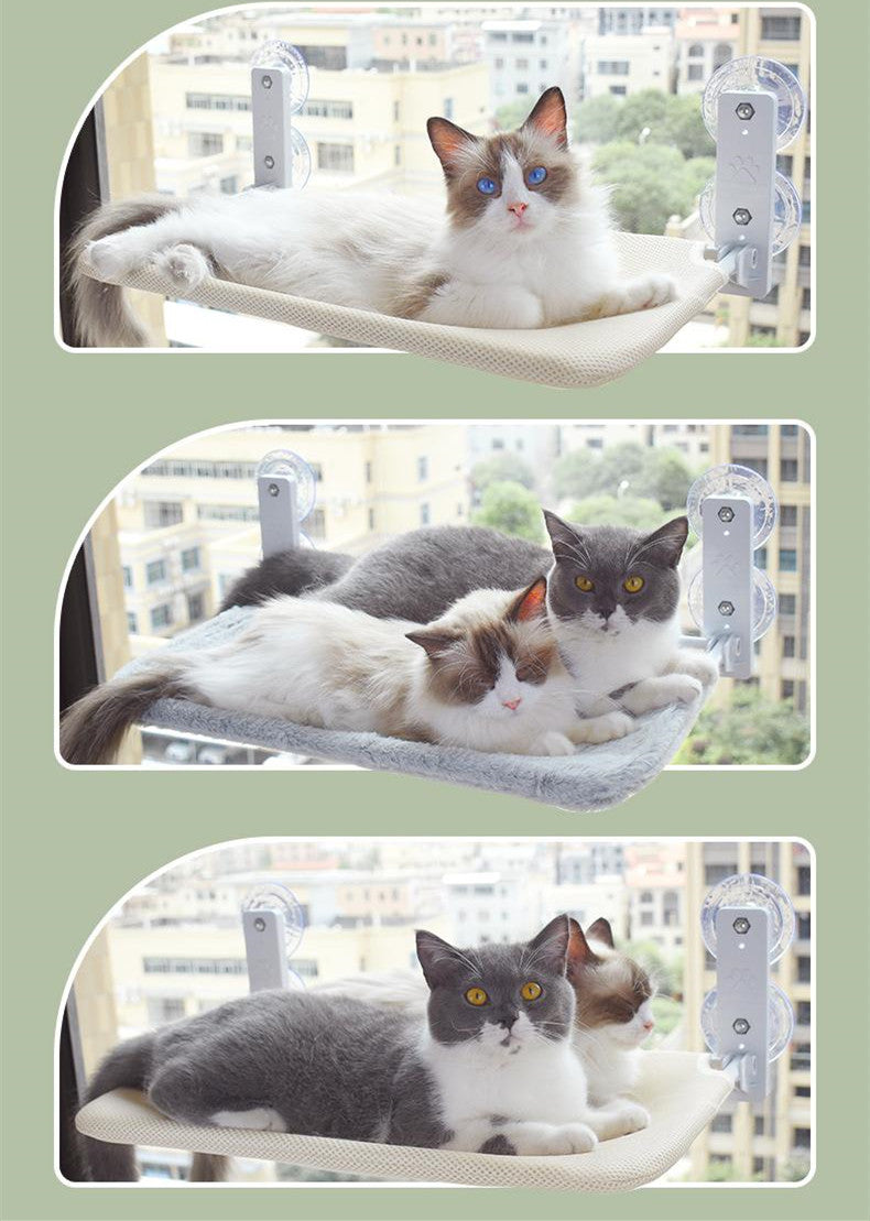 cat-suction-cup-window-glass-hammock-pet-cat-pets-products