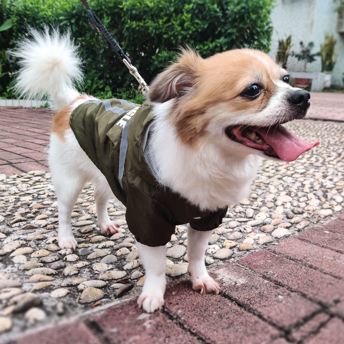 new-style-pet-raincoat-with-reflective-strips